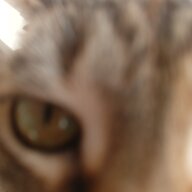 やまて