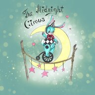 The Midnight Circus