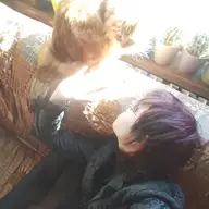 Bитənь