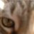 やまて