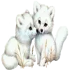 :Lolisakiss: