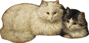 :kotiki: